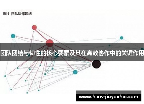 团队团结与韧性的核心要素及其在高效协作中的关键作用
