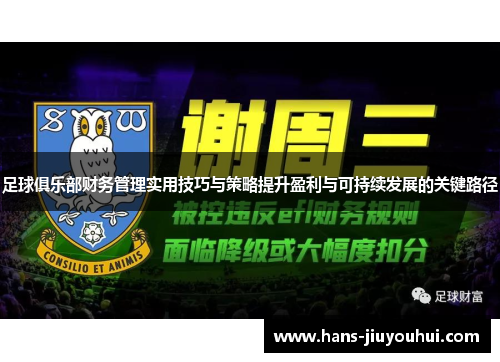 足球俱乐部财务管理实用技巧与策略提升盈利与可持续发展的关键路径 足球俱乐部财务管理实用技巧与策略提升盈利与可持续发展的关键路径