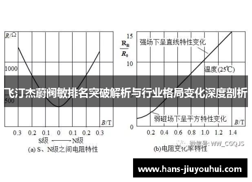 飞汀杰蔚阀敏排名突破解析与行业格局变化深度剖析