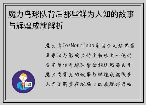 魔力鸟球队背后那些鲜为人知的故事与辉煌成就解析