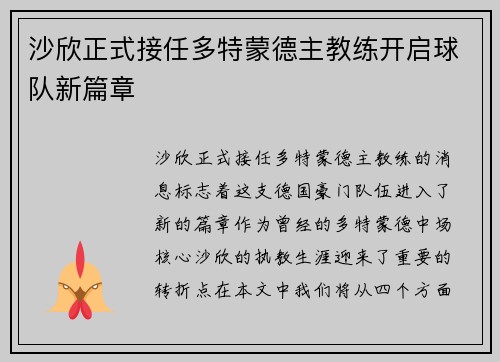沙欣正式接任多特蒙德主教练开启球队新篇章
